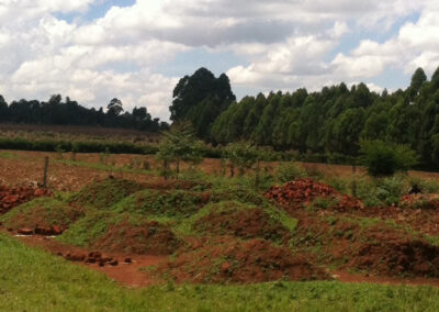 Upendo Home & Farm